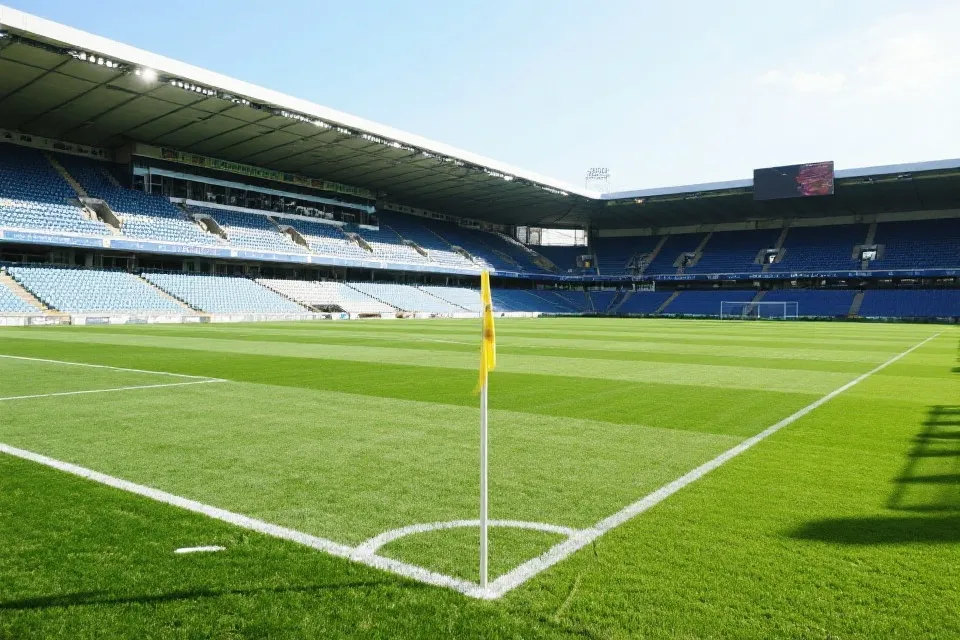 赛场氛围示意图